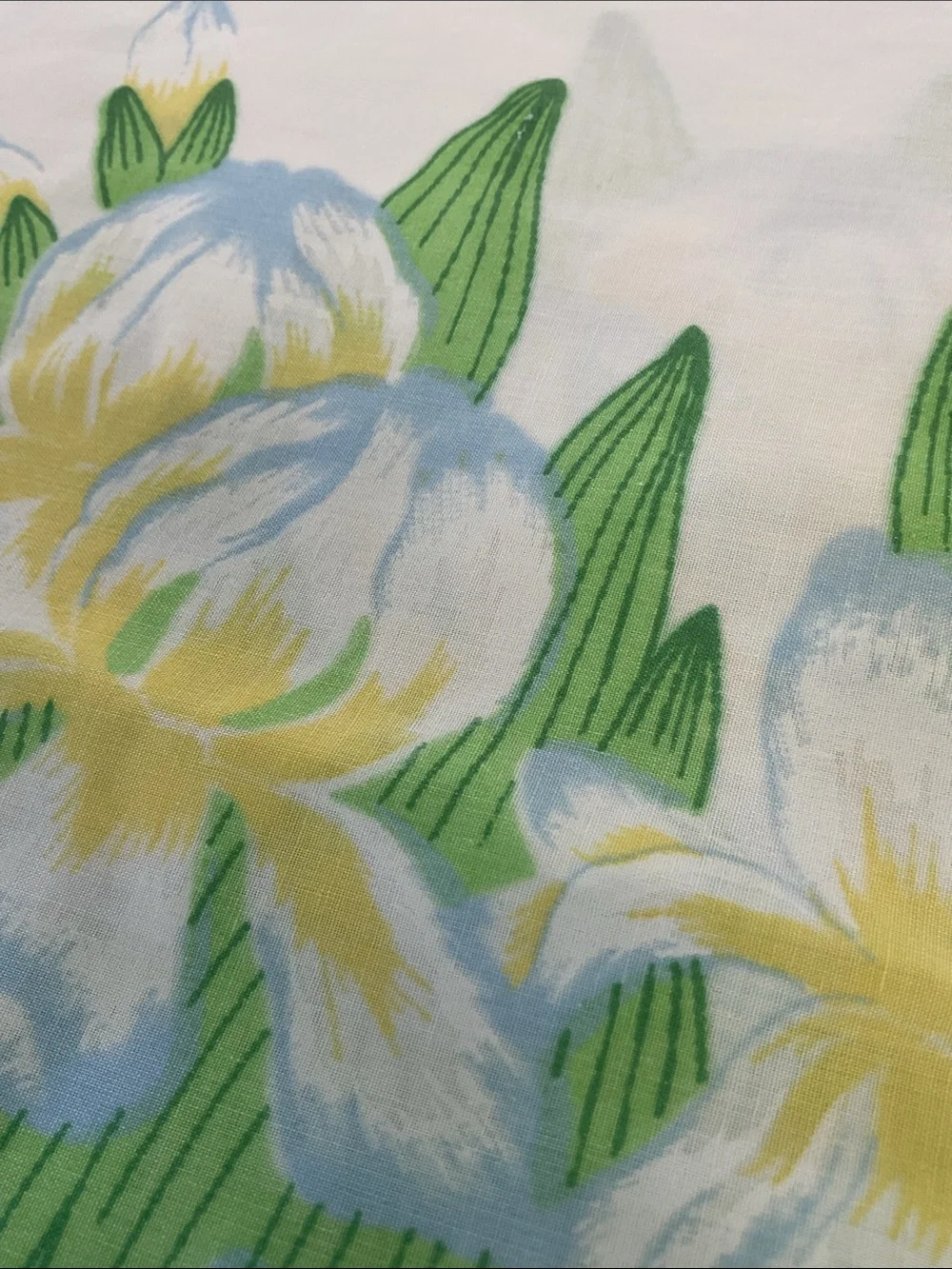 Tennessee Iris 1978 pillowcases. Tastemaker vintage